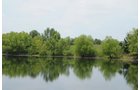 Property photo 19 - 1,025 Acres in 24 Tracts - Exellent Recreation Opportunity - Potential Building Sites - 11 Lakes & Ponds